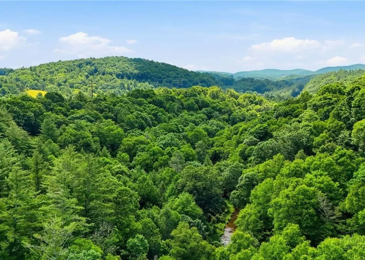 Green Homes for Sale - West Jefferson, North Carolina Green Home