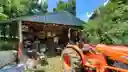 listing-thumbnails