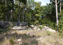 listing-thumbnails