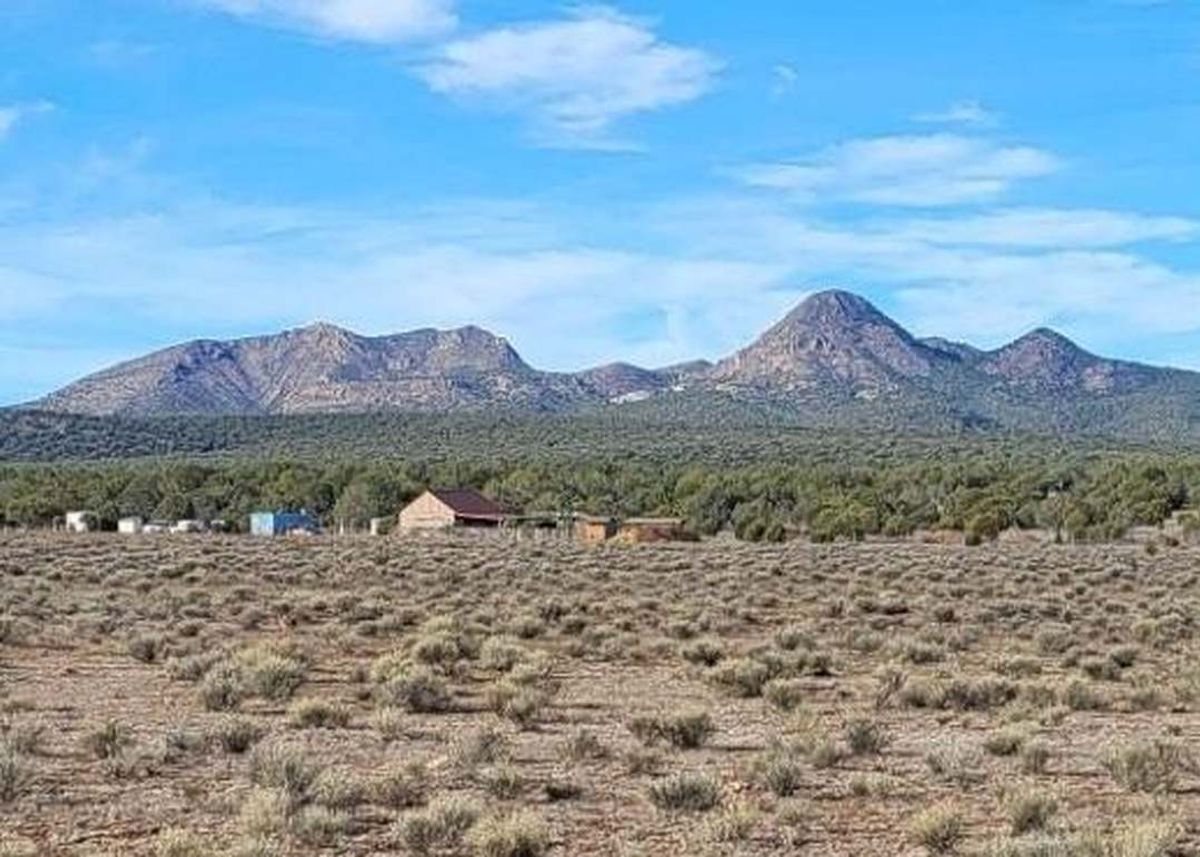 property-listing