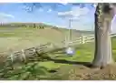 listing-thumbnails