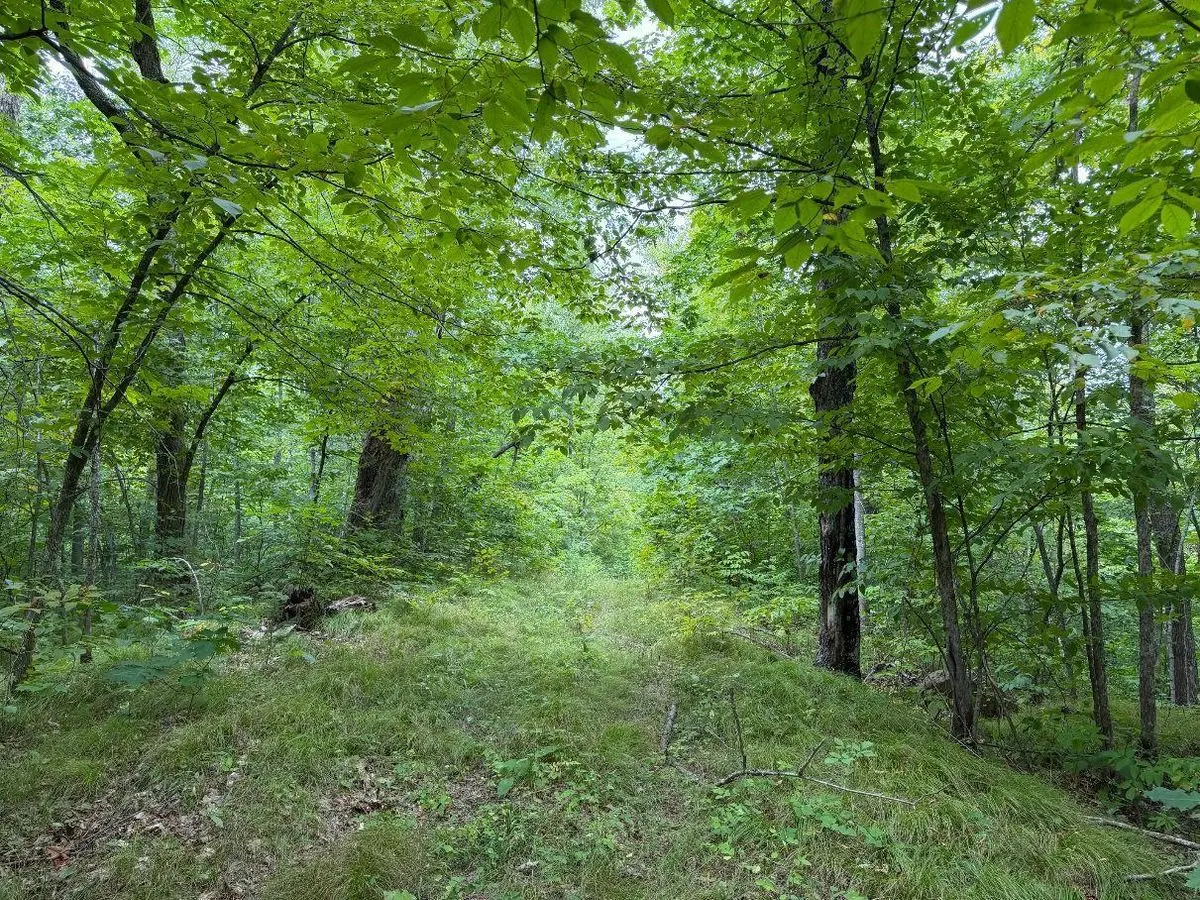 property-listing