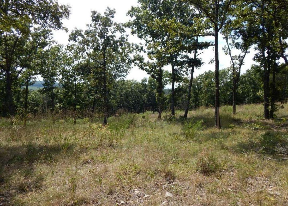 property-listing
