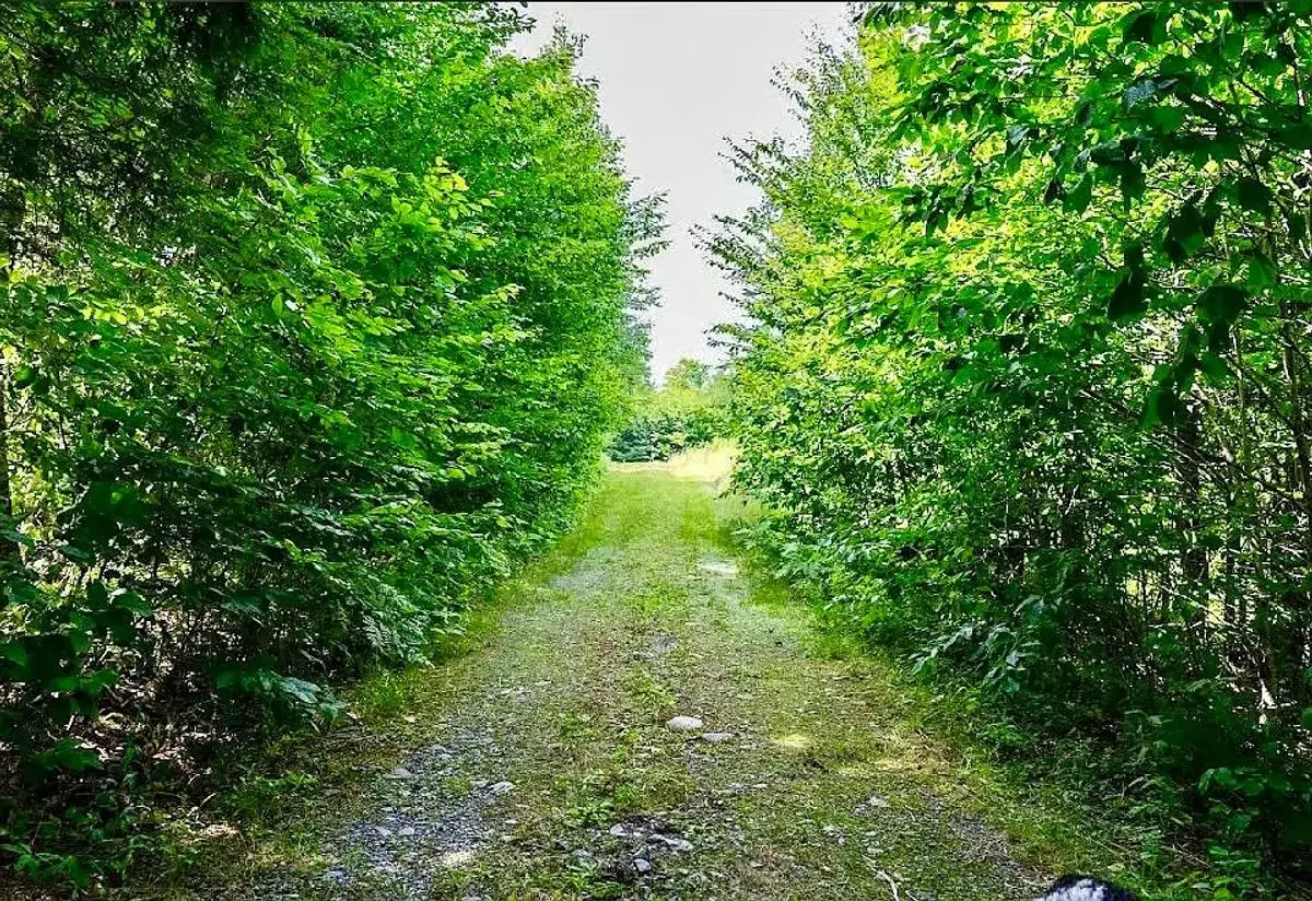 property-listing