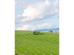 listing-thumbnails