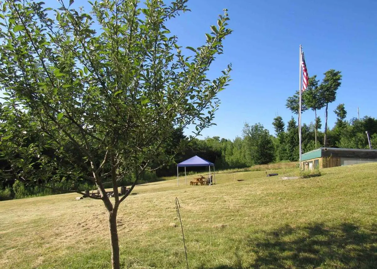 property-listing