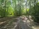 listing-thumbnails
