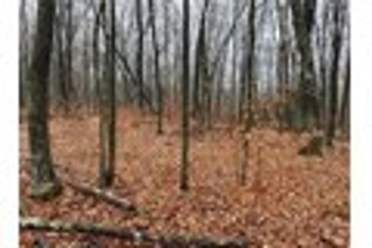 property-listing