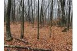 listing-thumbnails