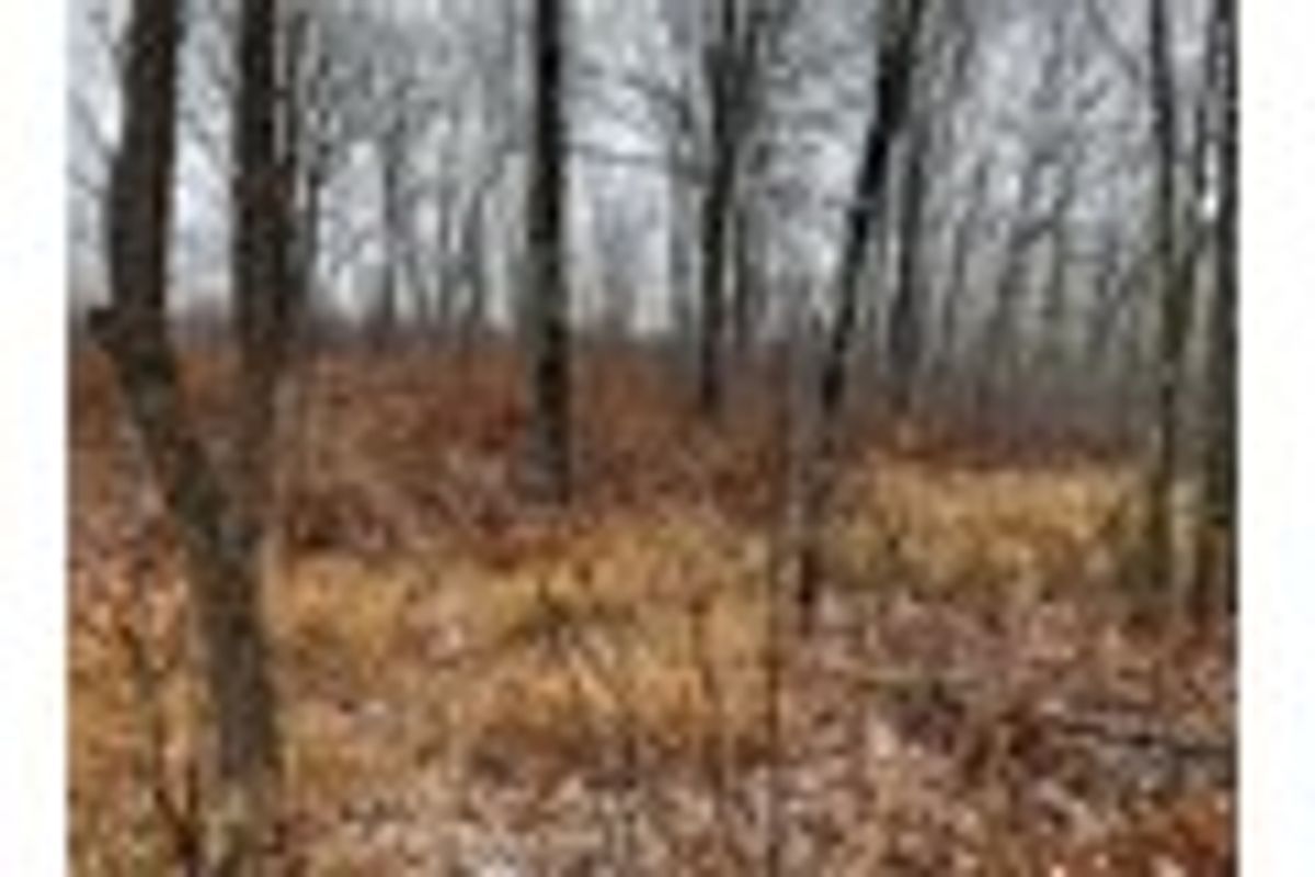 property-listing