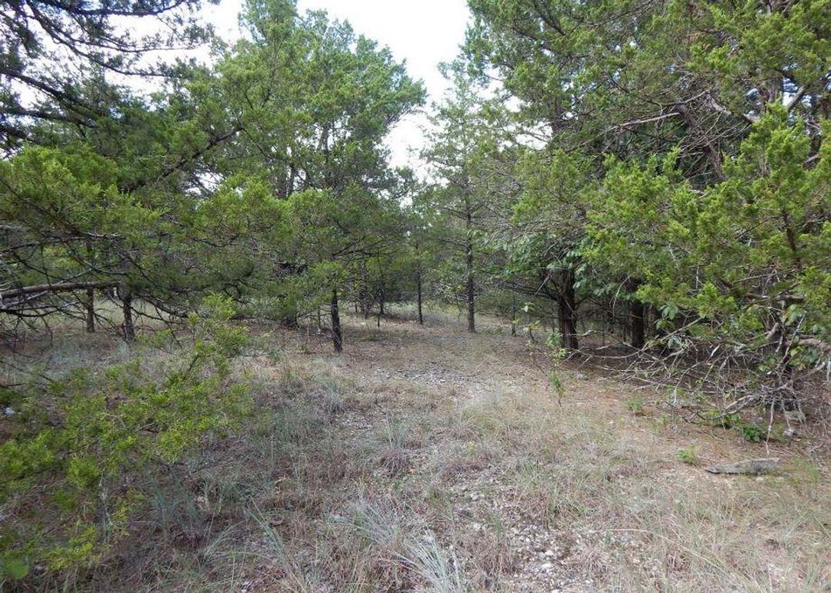 property-listing