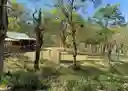 listing-thumbnails