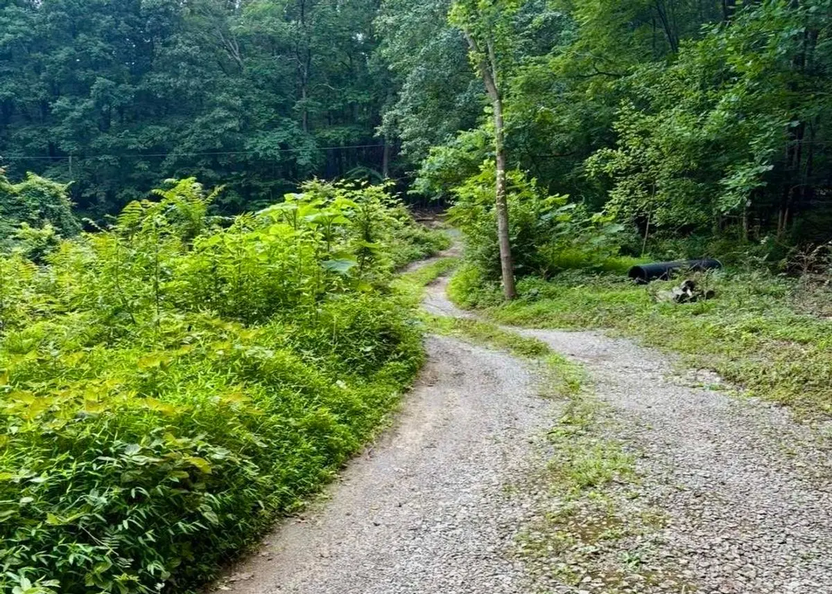 Photo 1 of green home in Sewanee, Tennessee