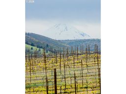 listing-thumbnails