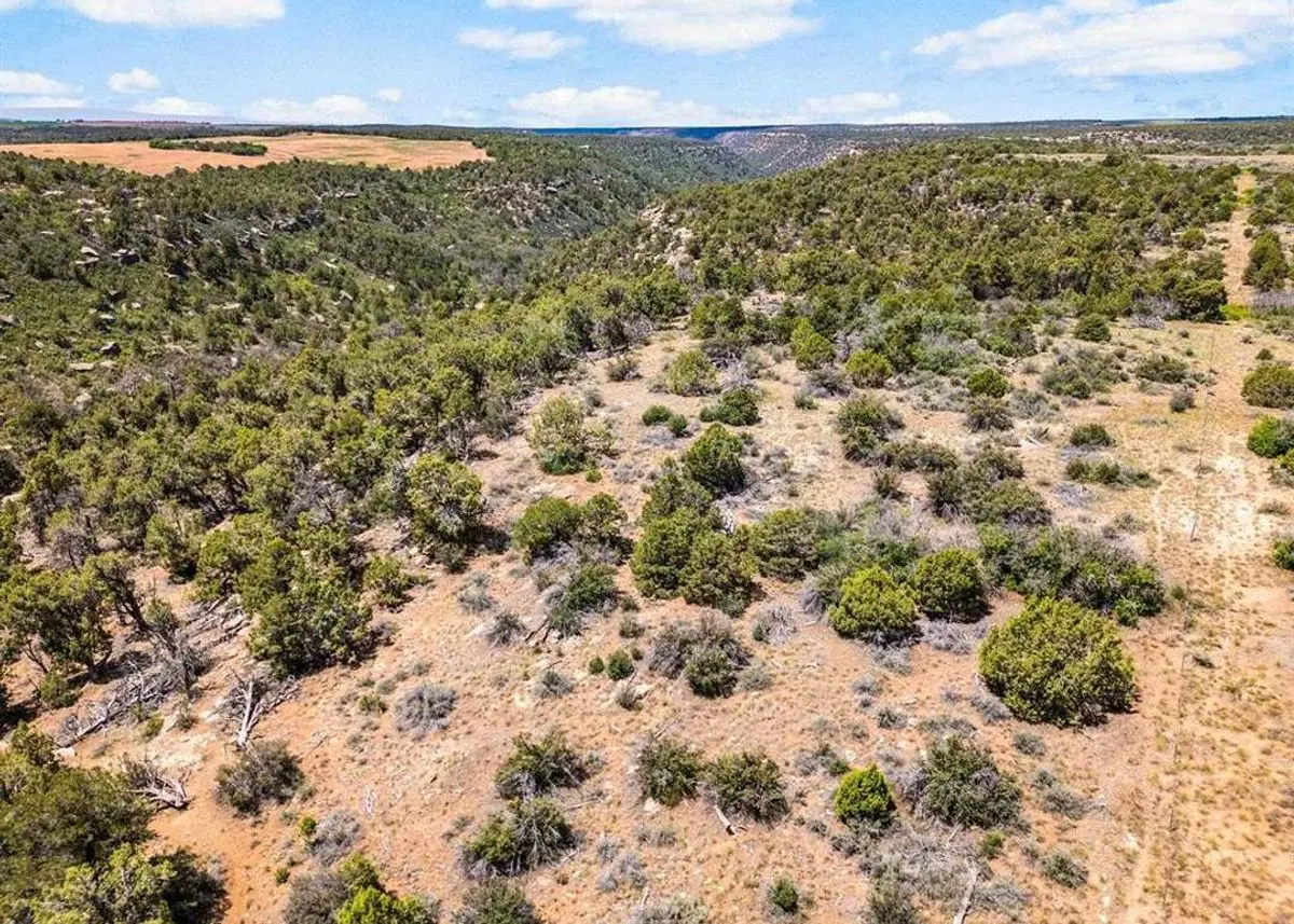 property-listing