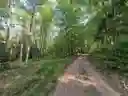 listing-thumbnails