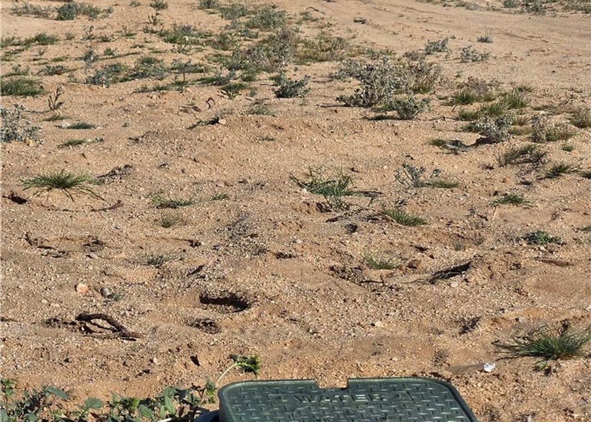 Green Homes for Sale - Palms, California Green Home