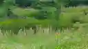 listing-thumbnails