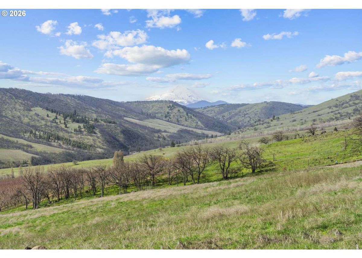 property-listing