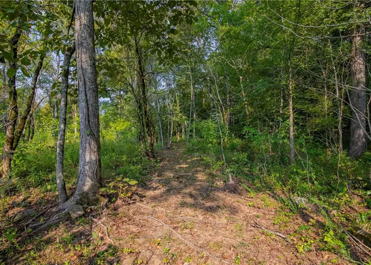 property-listing
