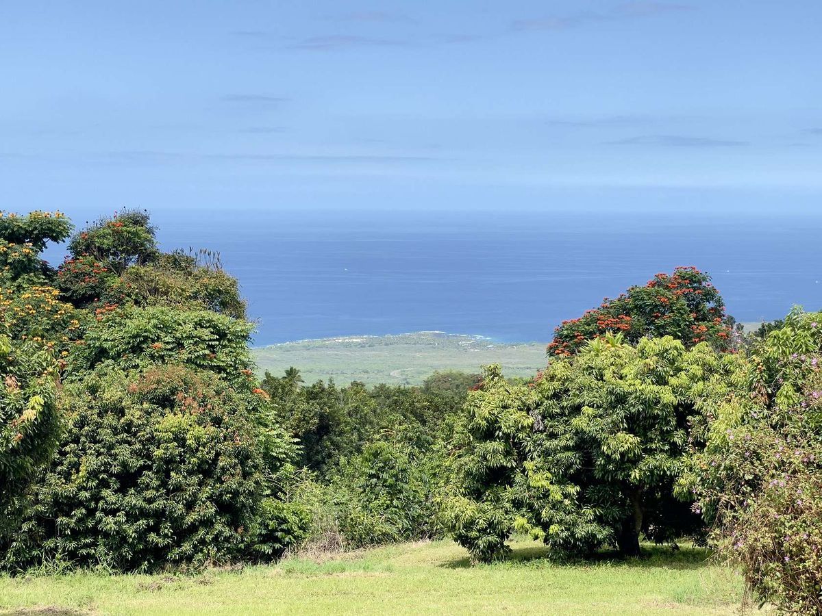 property-listing