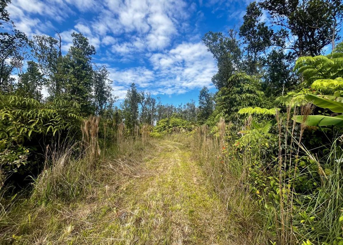 property-listing