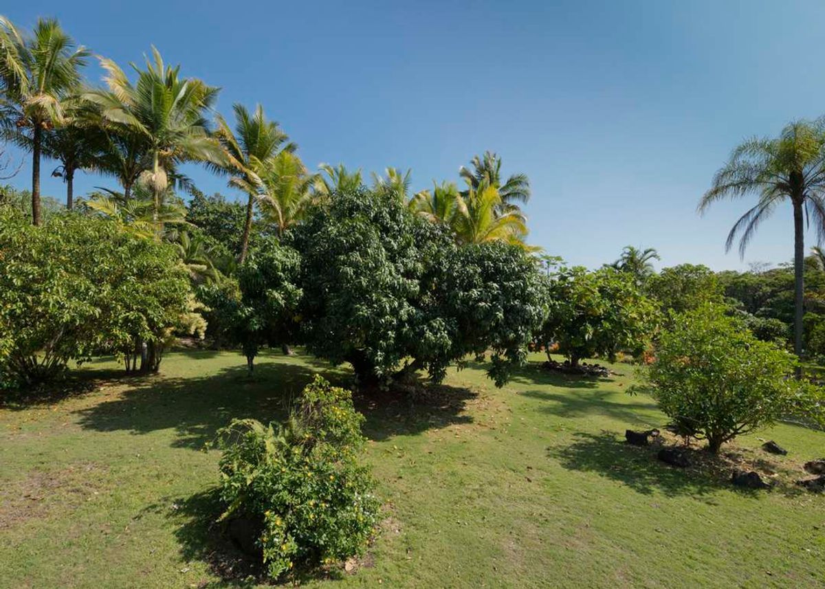 property-listing