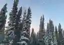 listing-thumbnails