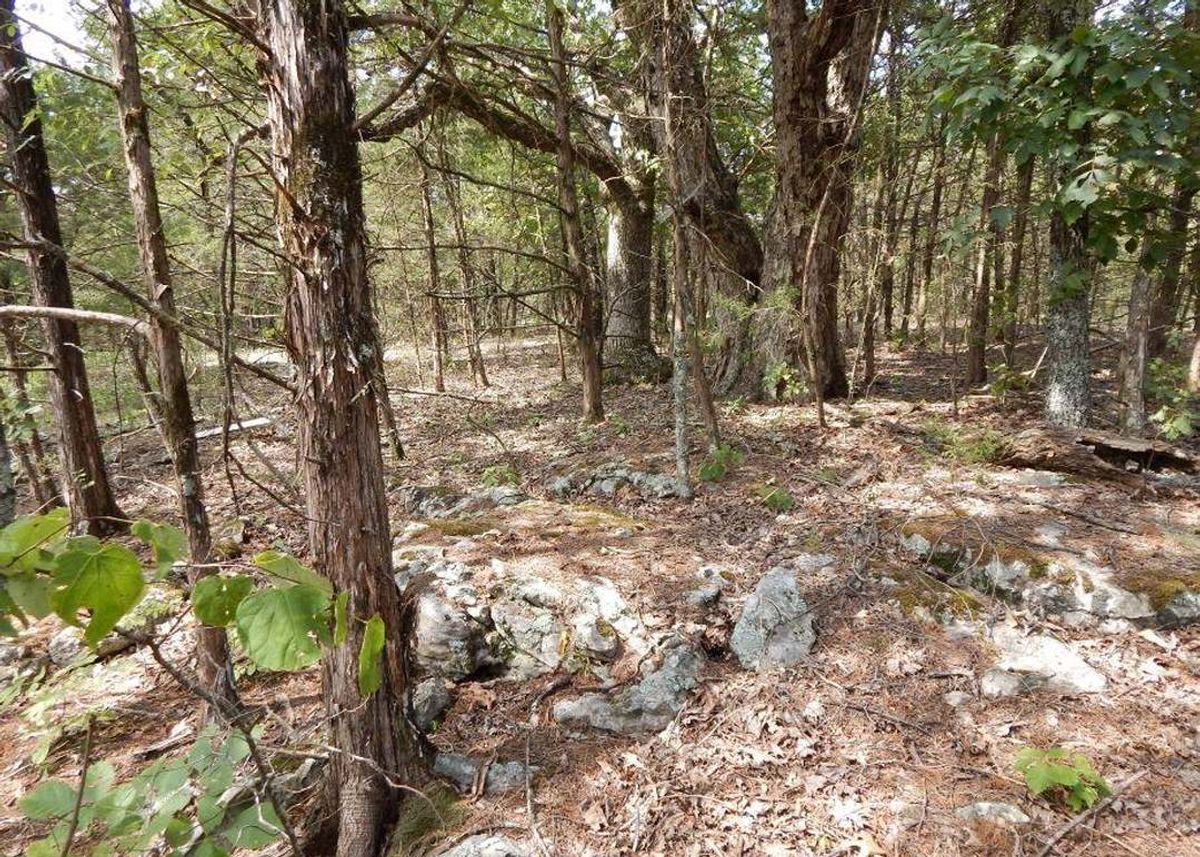 property-listing