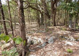 listing-thumbnails
