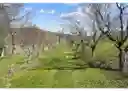 listing-thumbnails