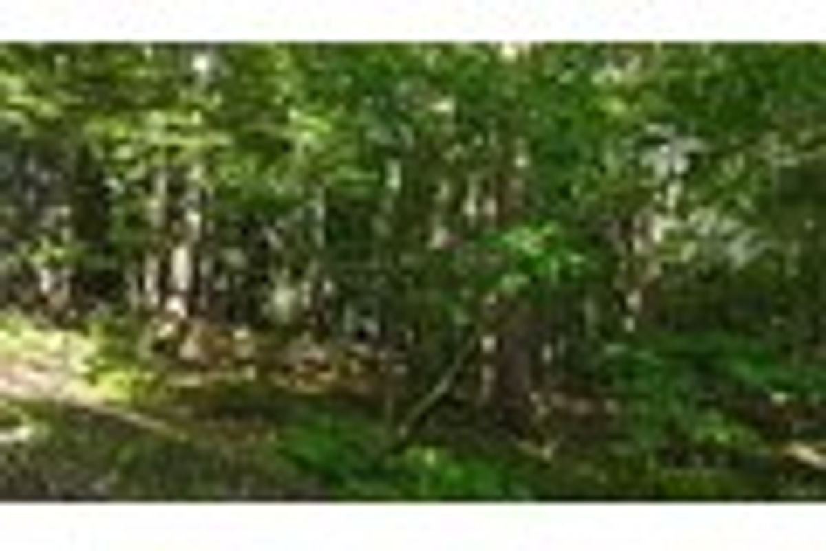 property-listing