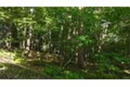listing-thumbnails