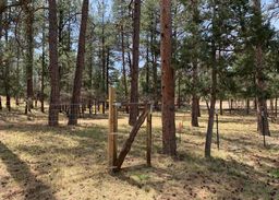 listing-thumbnails