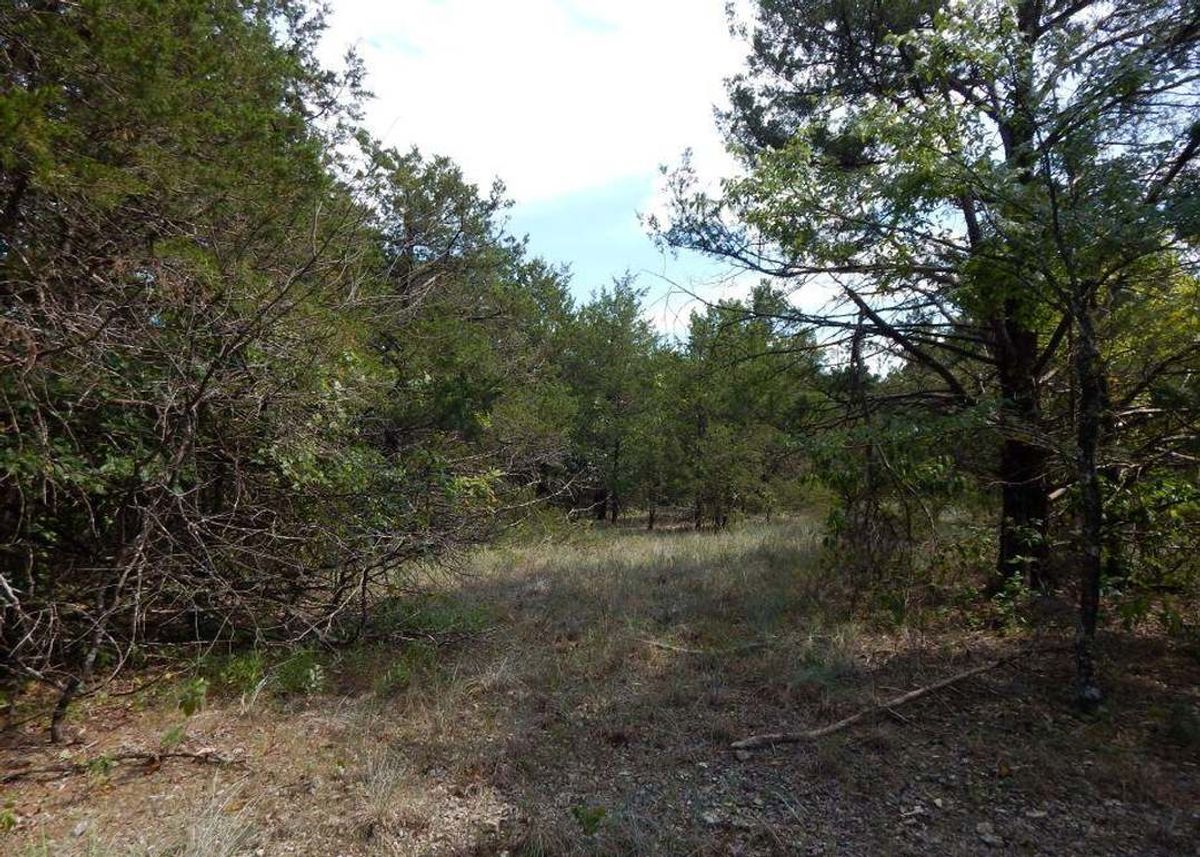 property-listing