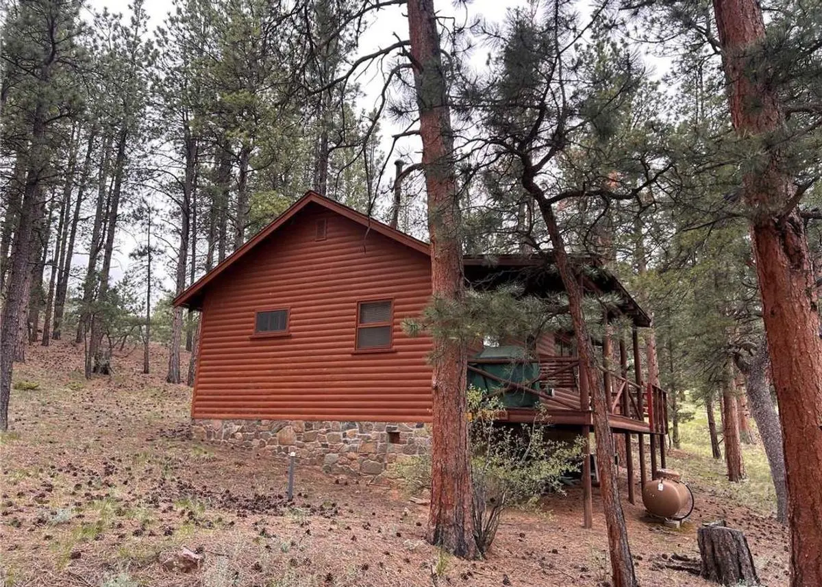 Green Homes for Sale - Bailey, Colorado Green Home