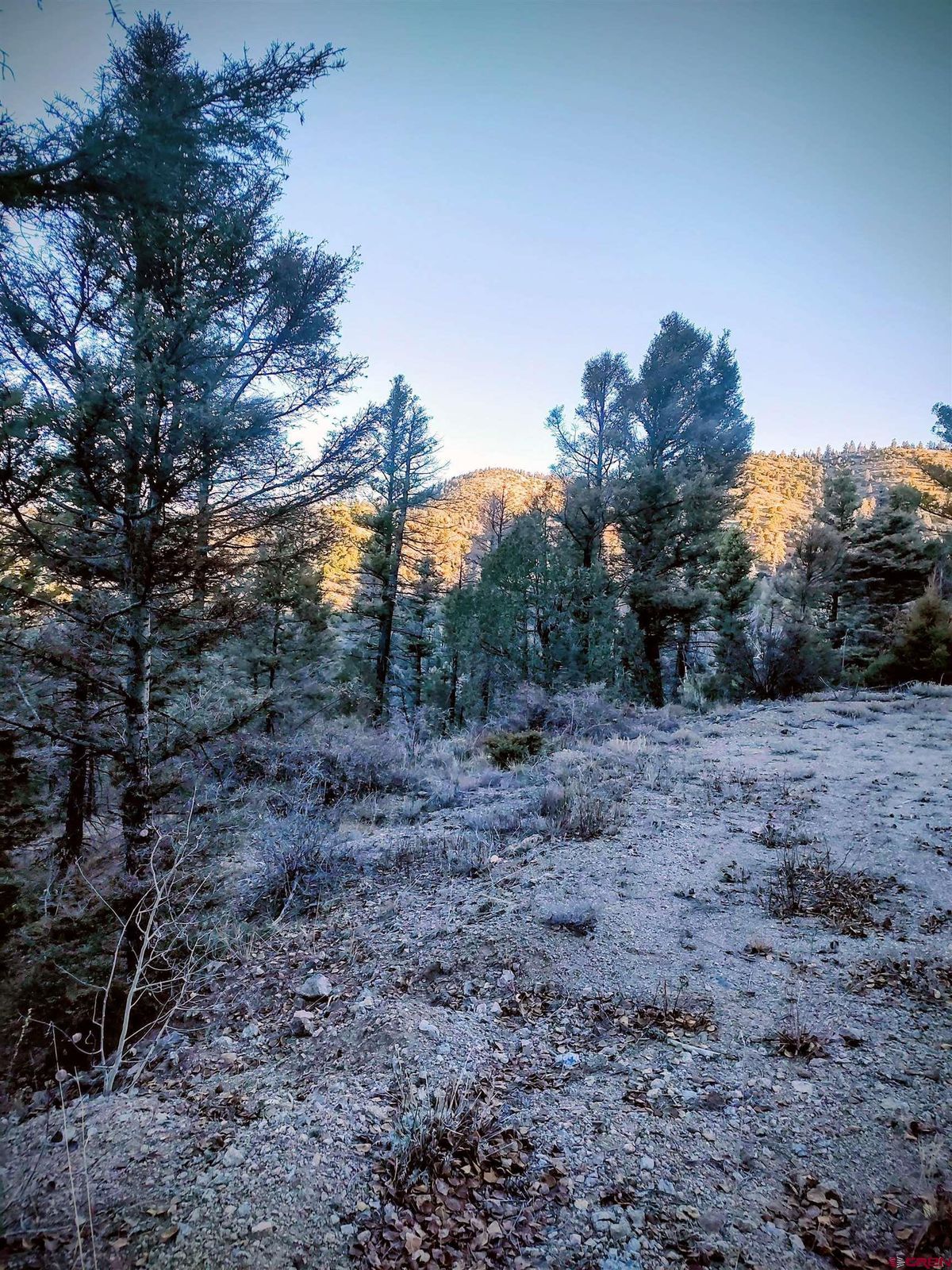 Green Homes for Sale - San Luis, Colorado Green Home