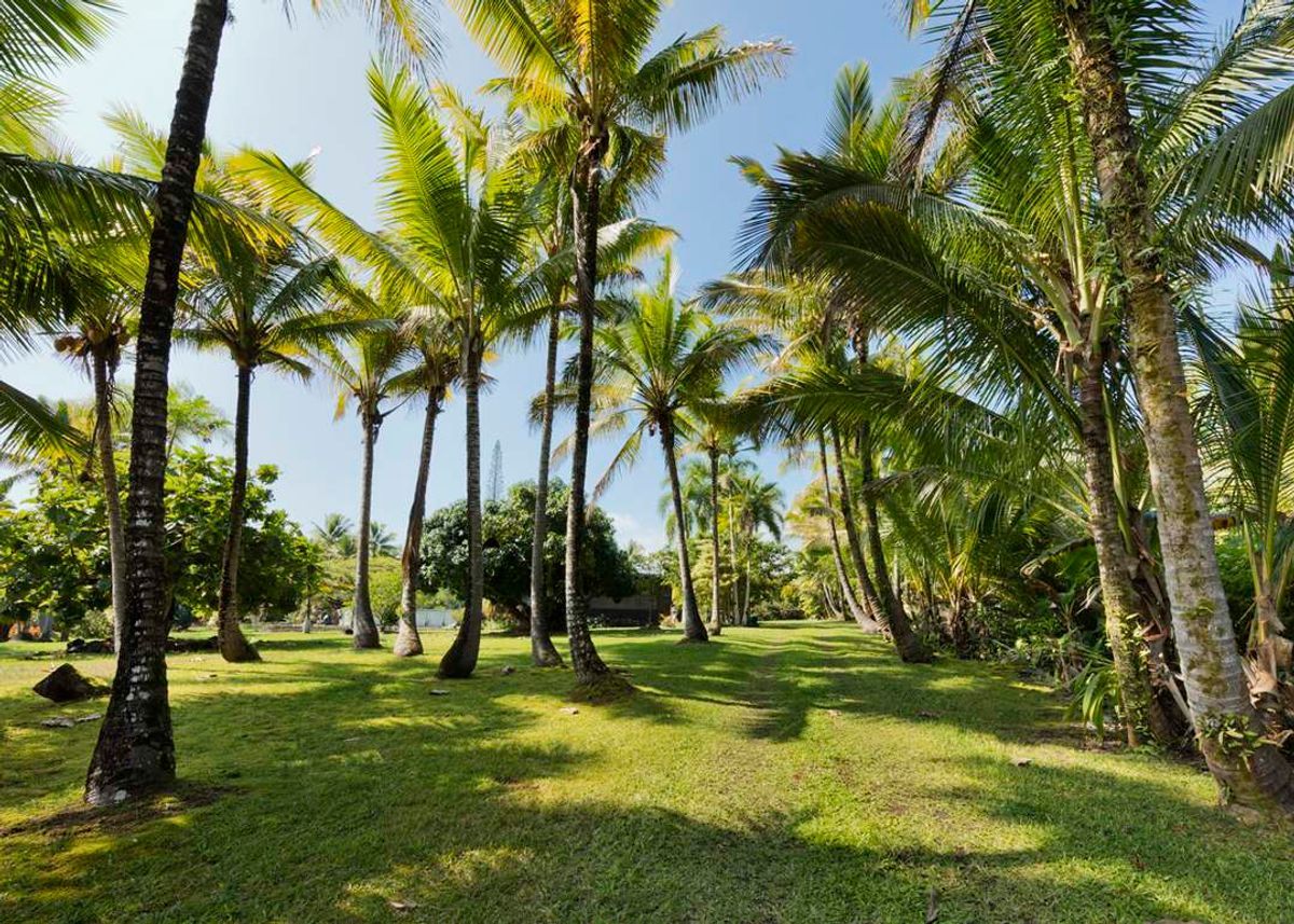 property-listing