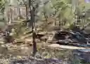 listing-thumbnails