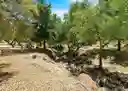 listing-thumbnails