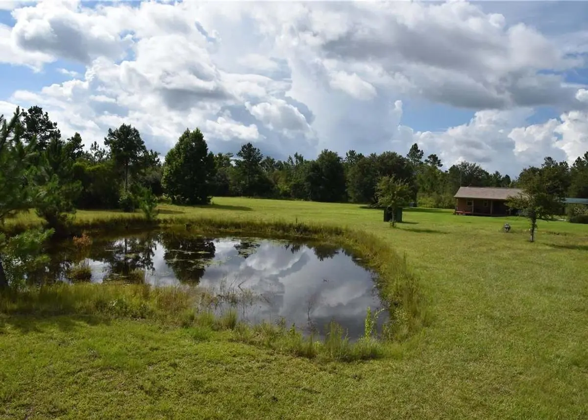 Green Homes for Sale - Old Town, Florida Green Home