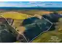 listing-thumbnails
