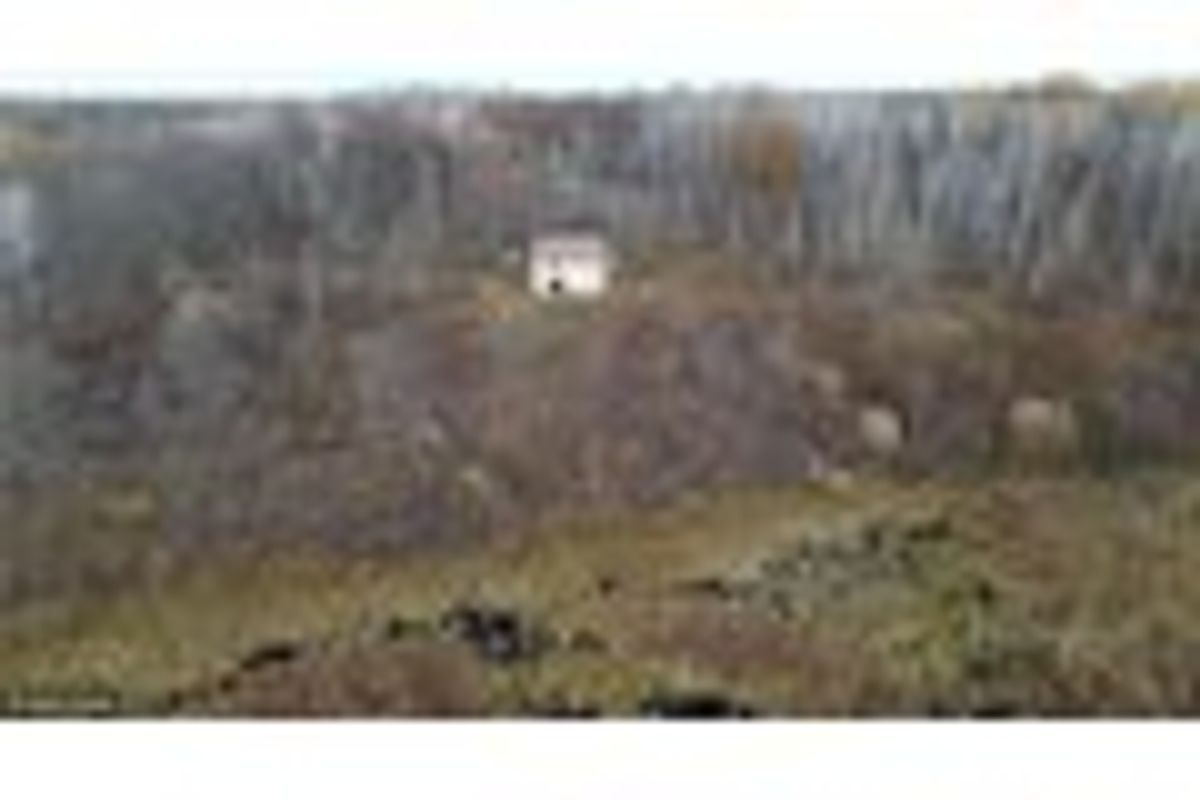 property-listing