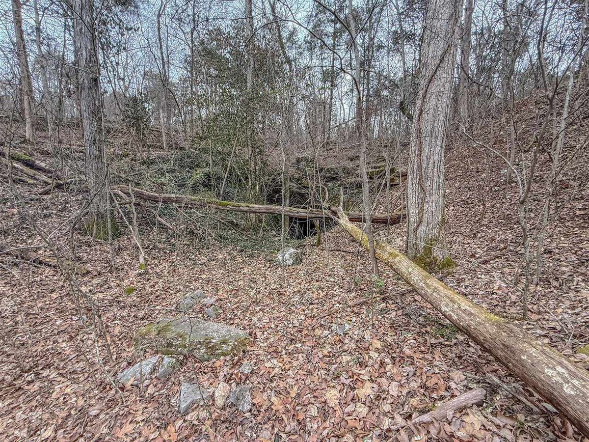 property-listing