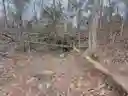 listing-thumbnails