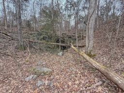 listing-thumbnails