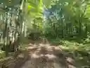 listing-thumbnails