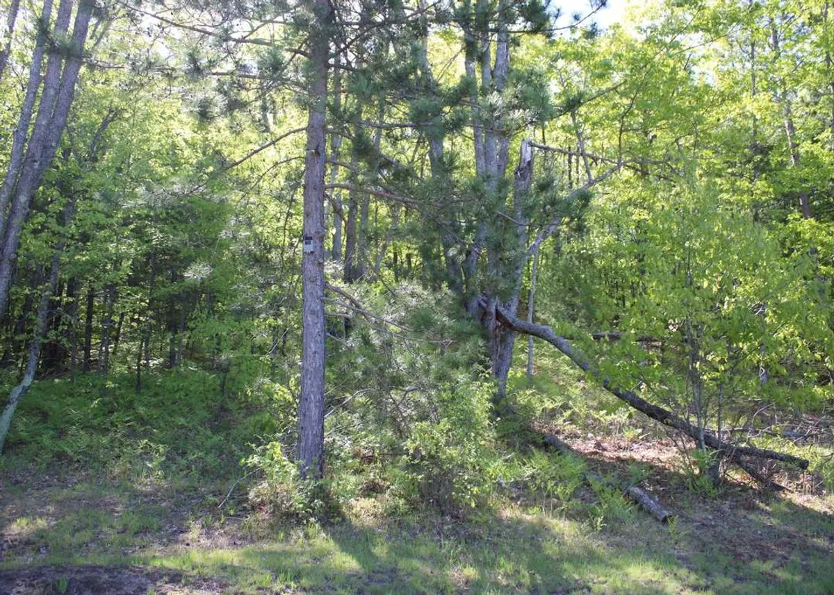 property-listing