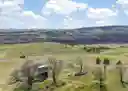 listing-thumbnails