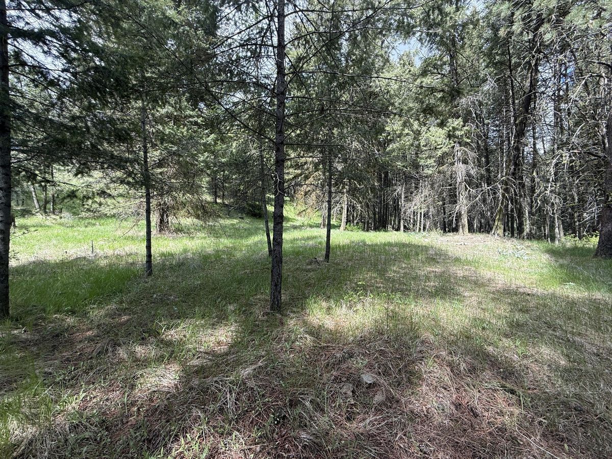 property-listing